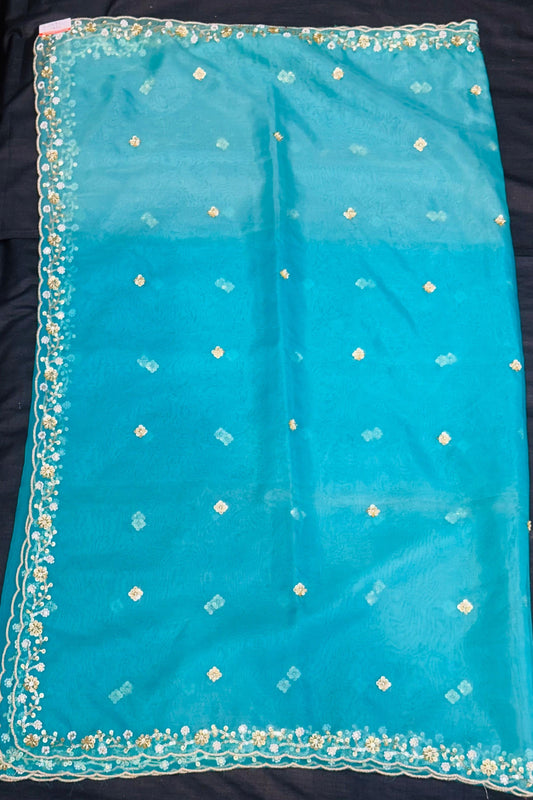 Dusty Seafoam Organza Handwork Suit with Four-Side Cutwork