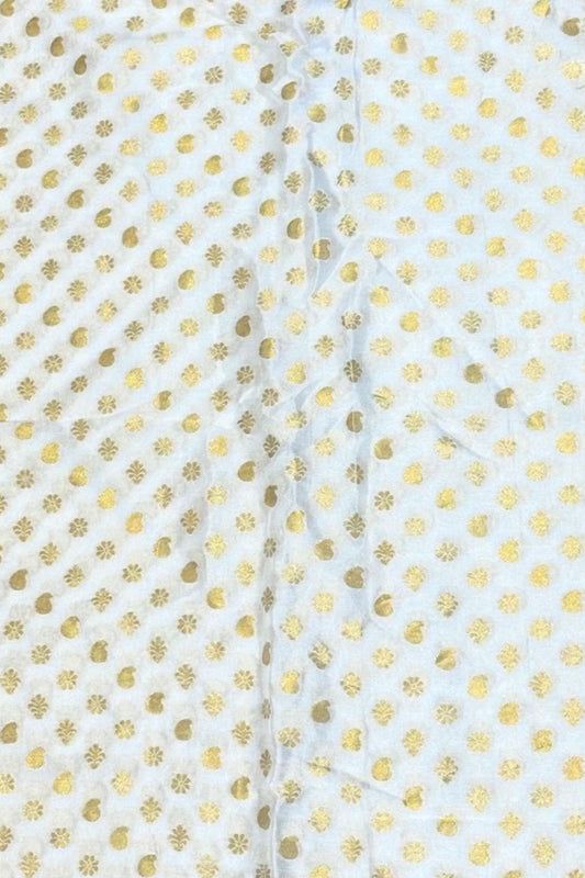 White Banarasi Chinon Chiffon Saree with Four-Side Border & Golden Work
