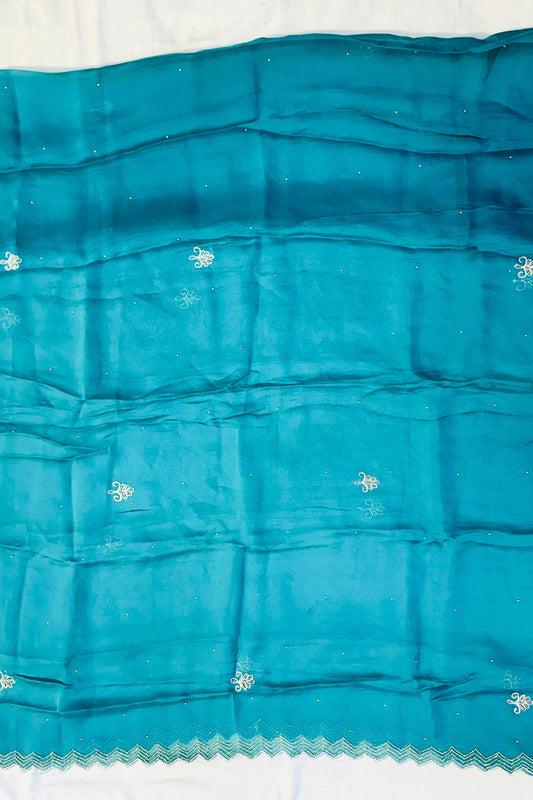 Elegant Organza Handwork Suit Set with Silk Bottom & Border Dupatta
