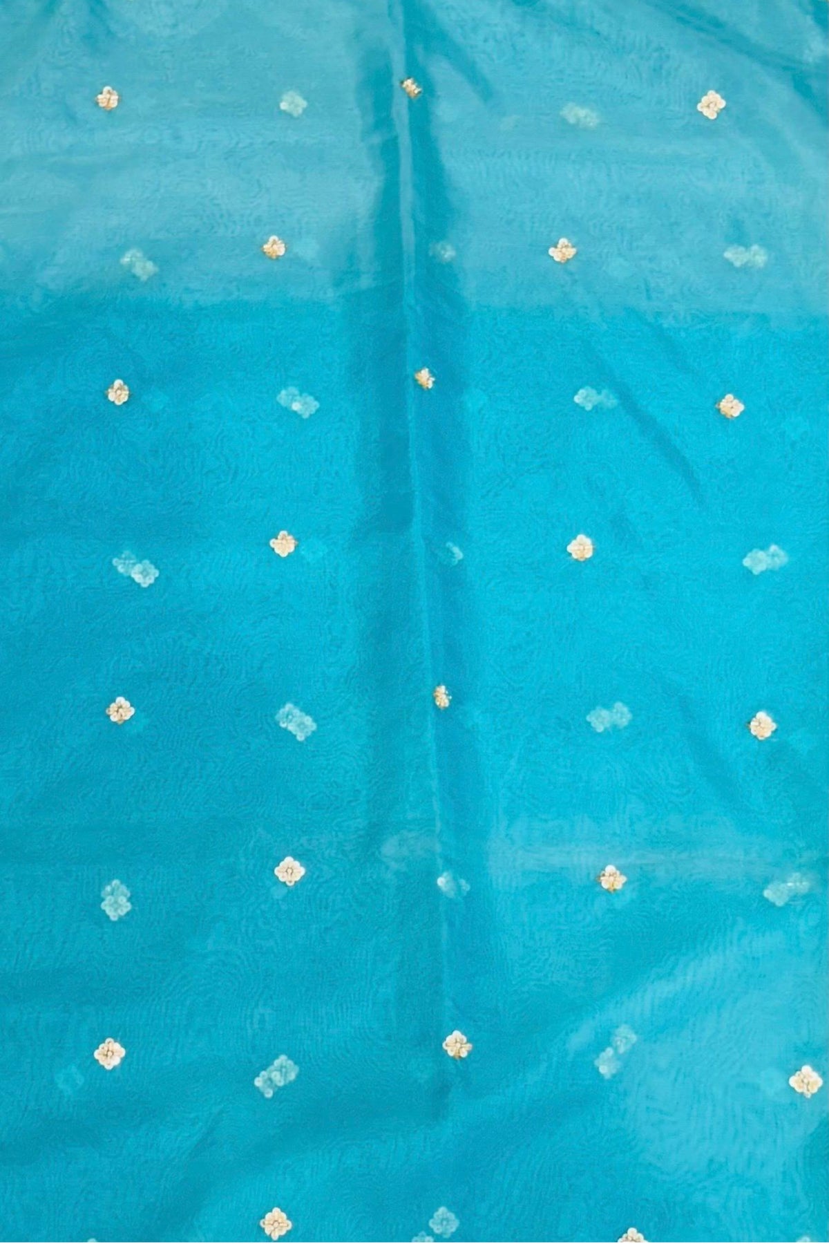 Dusty Seafoam Organza Handwork Suit with Four-Side Cutwork