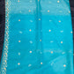 Dusty Seafoam Organza Handwork Suit with Four-Side Cutwork