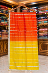 Multicolor Organza Pearl & Sippi Lace Suit