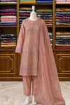 Peach Organza Tissue Handwork Suit Set with Heavy Dupatta